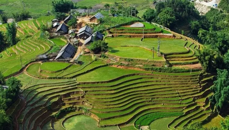 sapa muong hoa valley small group trekking tour