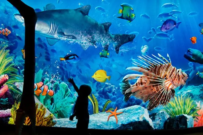 sea life bangkok ocean world