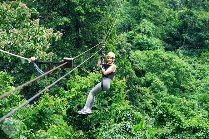 tree bridge zipline samui