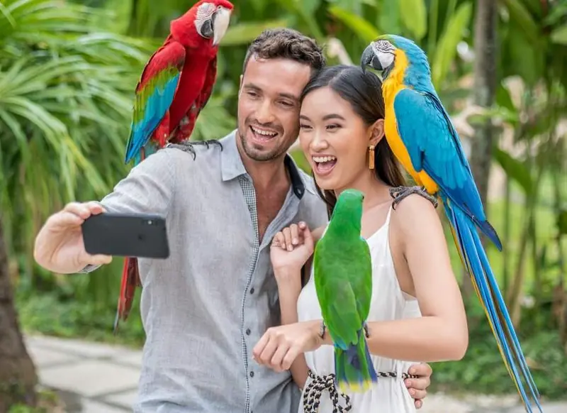 bali bird park ticket
