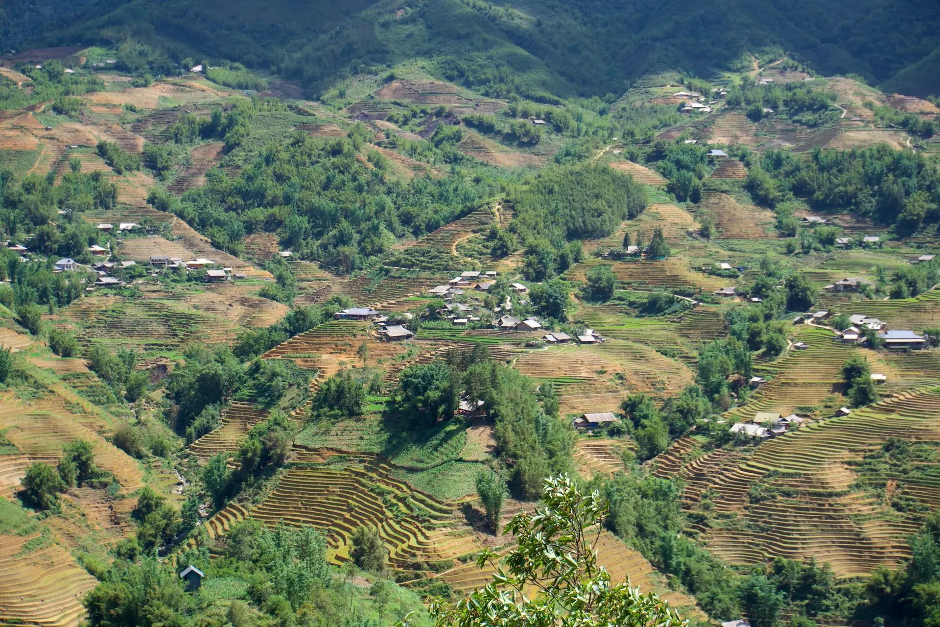 Stunning aerial view of Sa Pa's terraced rice fields and rural landscape.