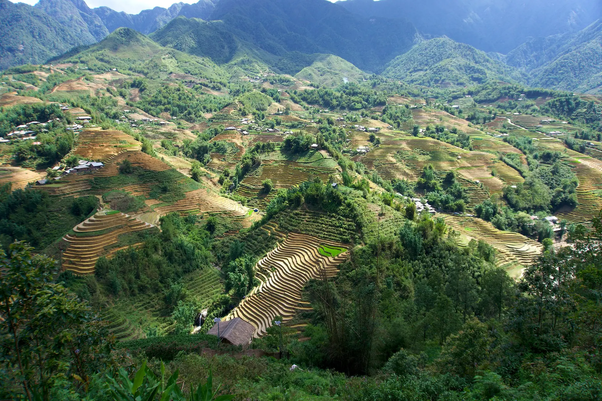 A breathtaking view of rice terraces in Sa Pa, showcasing traditional farming in Vietnam's lush landscape.